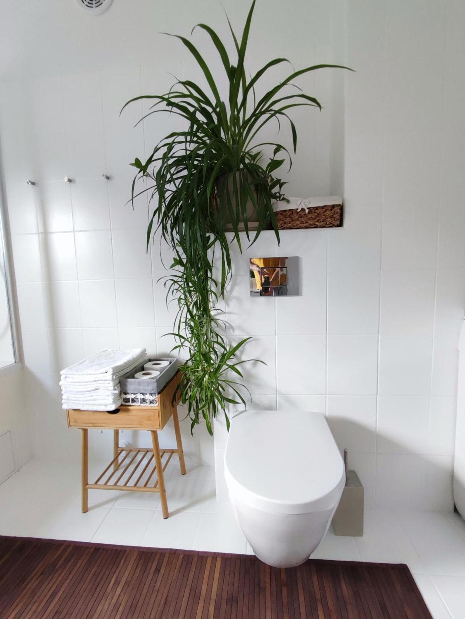 Apartmán Urokliwy Azyl W Miescie: Komfort I Spokoj, Projektor I Hi-fi, 6 Minut Kolejka Do Centrum.